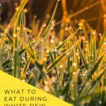 Comparison of Chushu cooling foods and White Dew warming foods for the Chinese autumn seasonal transition Description: Chushu brings dryness w