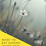 White Dew 白露 2026 date table showing September 7 in Beijing and Pacific time with autumn dew on grass