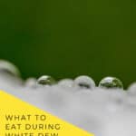 White Dew 白露 2026 date table showing September 7 in Beijing and Pacific time with autumn dew on grass