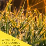 White Dew 白露 2026 date table showing September 7 in Beijing and Pacific time with autumn dew on grass