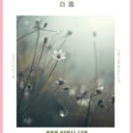 Autumn dryness symptoms guide for White Dew showing lung moistening Chinese medicine ingredients