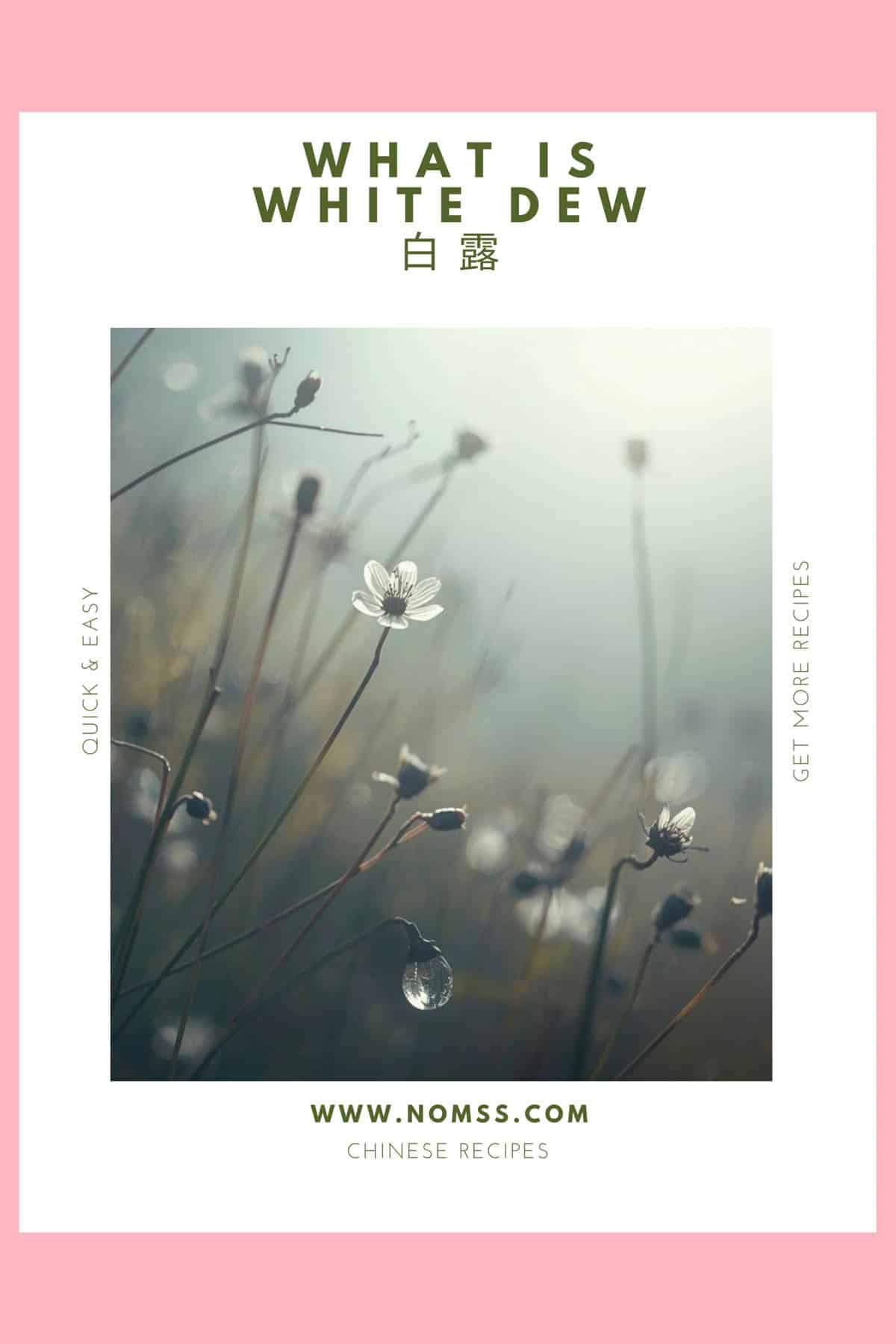 Autumn dryness symptoms guide for White Dew showing lung moistening Chinese medicine ingredients