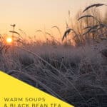 Golden sunlight shines through frost-covered grasses. A diagonal yellow panel reads “Warm Soups & Black Bean Tea, Lidong · 立冬,” with Nomss branding below.