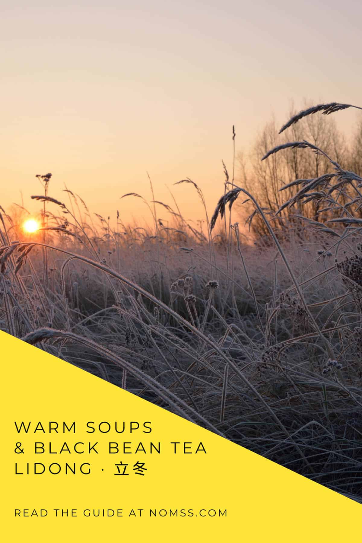 Golden sunlight shines through frost-covered grasses. A diagonal yellow panel reads “Warm Soups & Black Bean Tea, Lidong · 立冬,” with Nomss branding below.