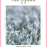 Pink-bordered pin showing golden sunlight over frost-covered grasses. Olive-green text reads “Start of Winter TCM Food Guide 立冬,” with nomss.com beneath the photograph.