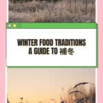 Tall pink-bordered collage with a snow-dusted forest road above and icy green grass below. A green-edged white panel reads “Lidong Explained, Start of Winter · 立冬.”