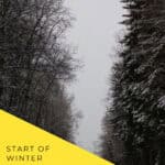 A quiet road runs between tall, lightly snow-covered trees. A diagonal yellow panel reads “Start of Winter, Lidong Food Guide 立冬” and “Read the Guide at Nomss.com.”