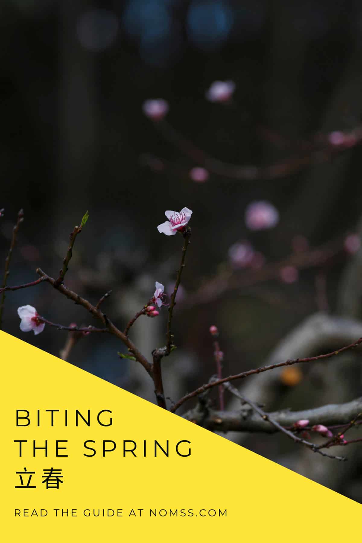 Tall collage of budding branches with a white centre label reading “Start of Spring TCM Food Guide,” plus “Lichun 立春” and nomss.com.