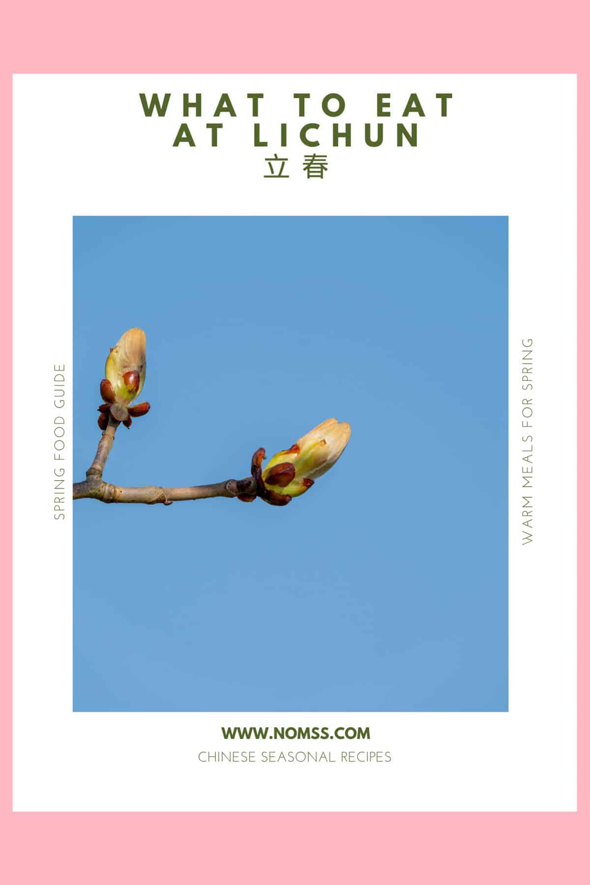 Pink-framed pin featuring a budding tree branch beneath “What to Eat at Lichun 立春,” with spring food guide text and nomss.com.