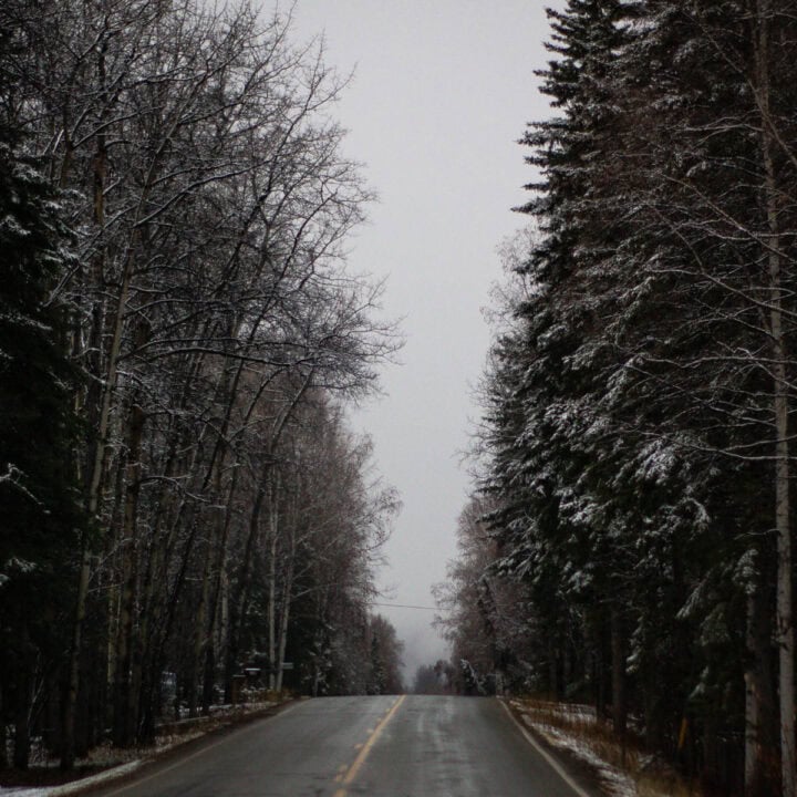 A wet two-lane road running between tall evergreens and bare birch trees dusted with snow under a grey sky, marking Start of Winter, the Chinese solar term Lidong.