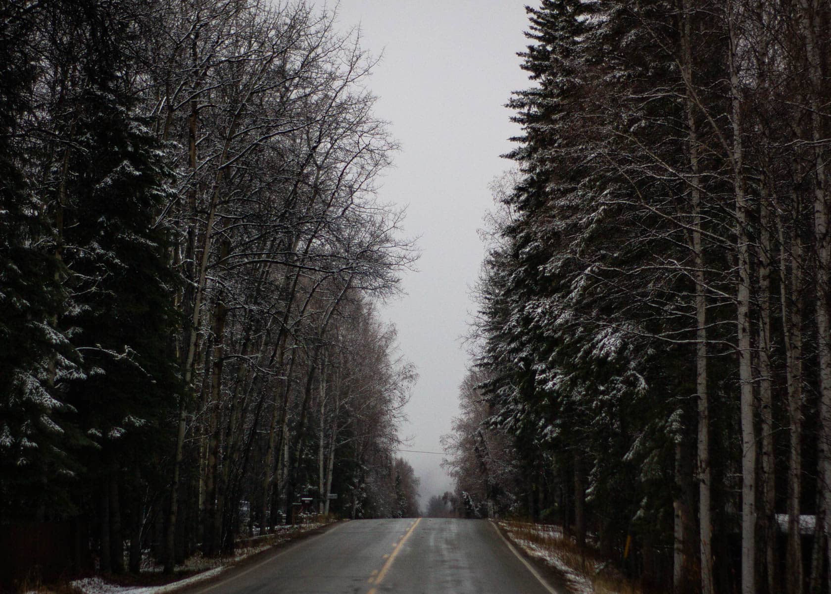 A wet two-lane road running between tall evergreens and bare birch trees dusted with snow under a grey sky, marking Start of Winter, the Chinese solar term Lidong.